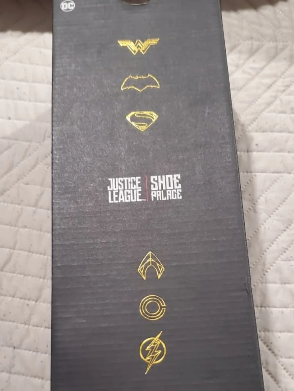 Justice League DC Flash Slides